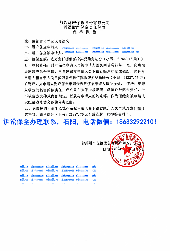 訴訟保全.png