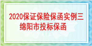 綿陽市投標保函,投標保函
